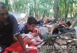為躲避加納軍警，一些中國采金者在附近的可可樹林躲藏。本版圖片由中國采金者提供